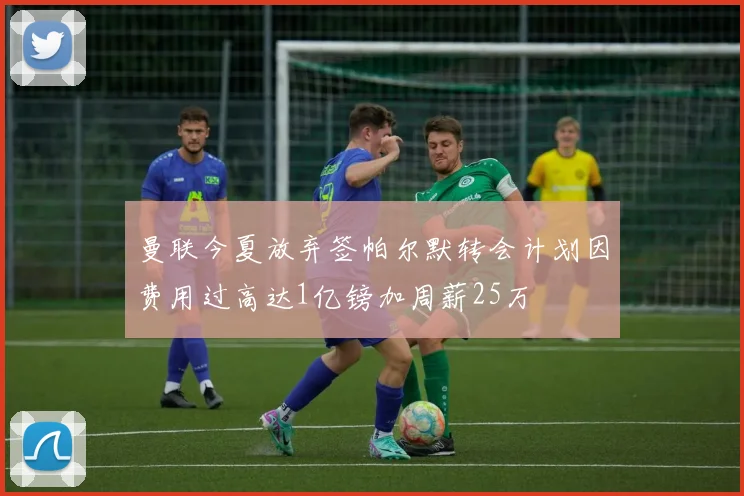 曼联今夏放弃签帕尔默转会计划因费用过高达1亿镑加周薪25万